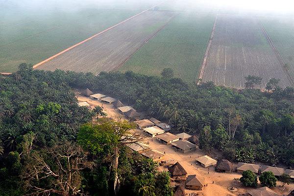 photo of lands taken by Addax Bioenergy for sugar cane plantation in Sierra Leone