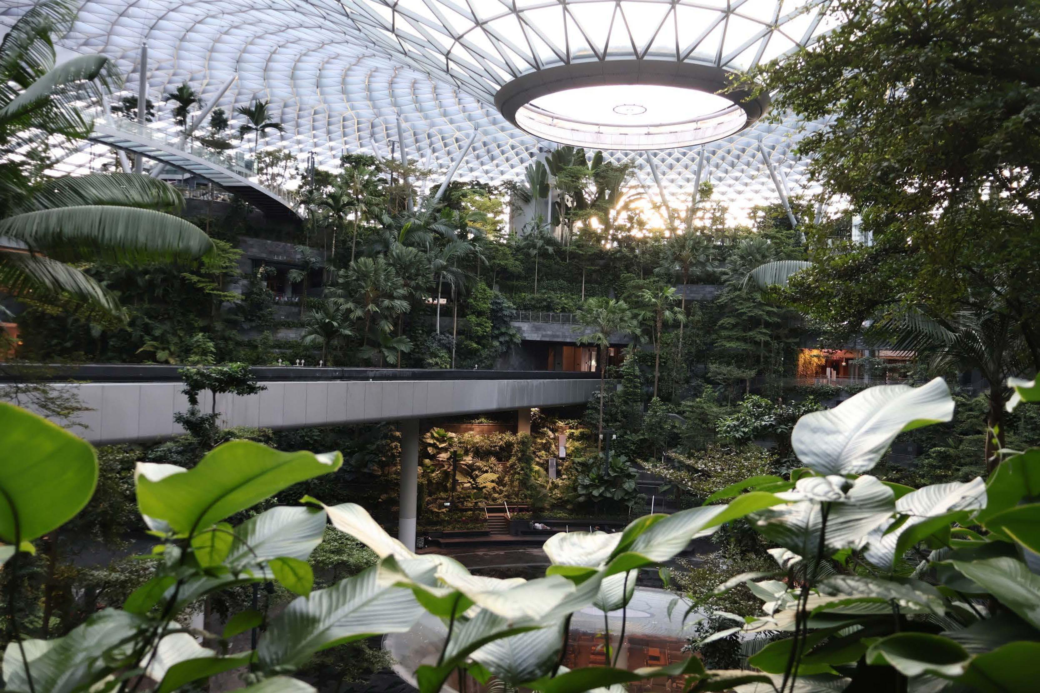 At Singapore’s Changi Airport Terminal 1, “Jewel” holds a gargantuan indoor waterfall enclosed in a tropical forest-style setting.
