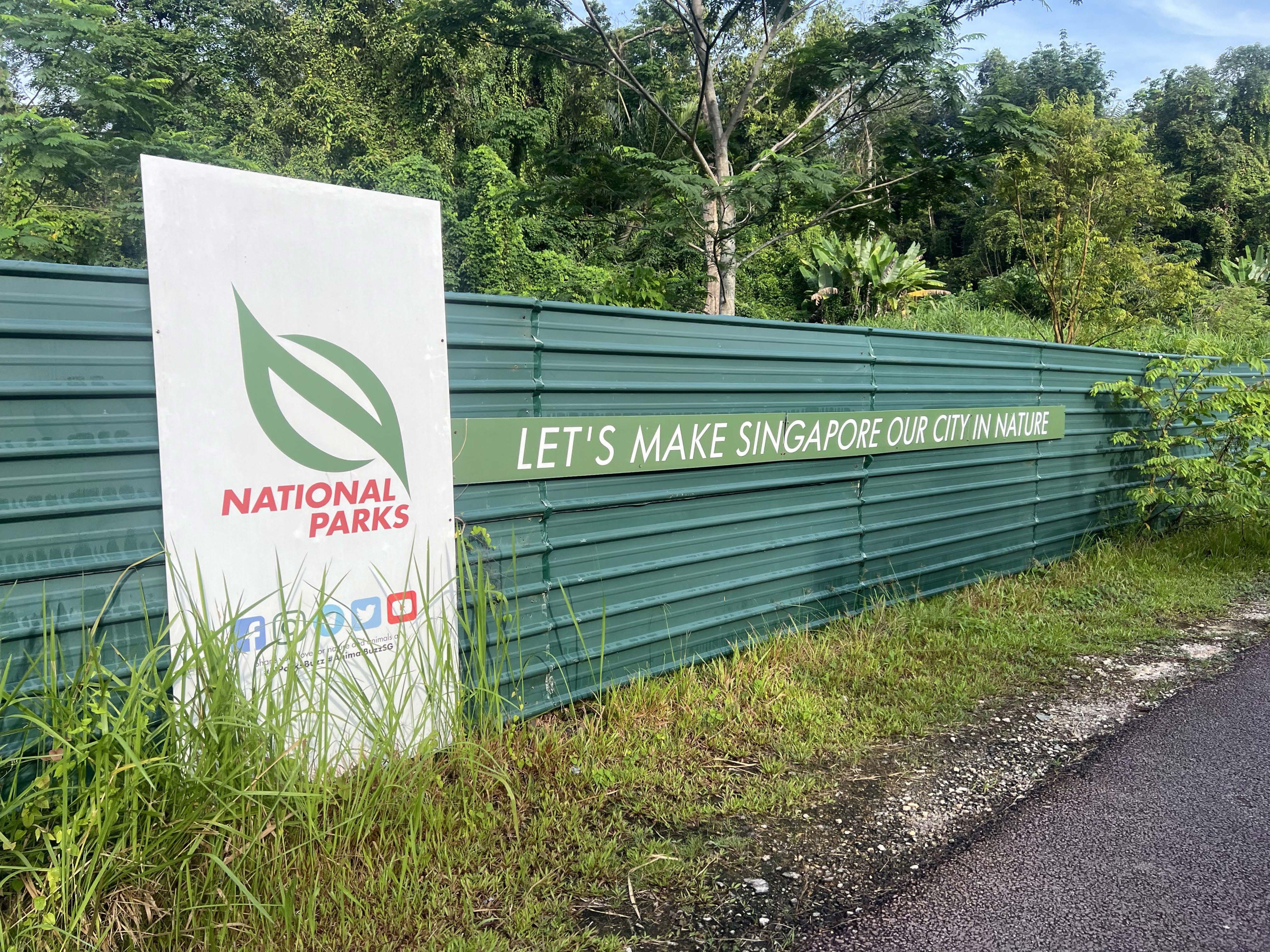 Singapore’s National Parks Board promotes its City in Nature motto along the busy Rail Corridor, a former British railway transformed into walkable green space.