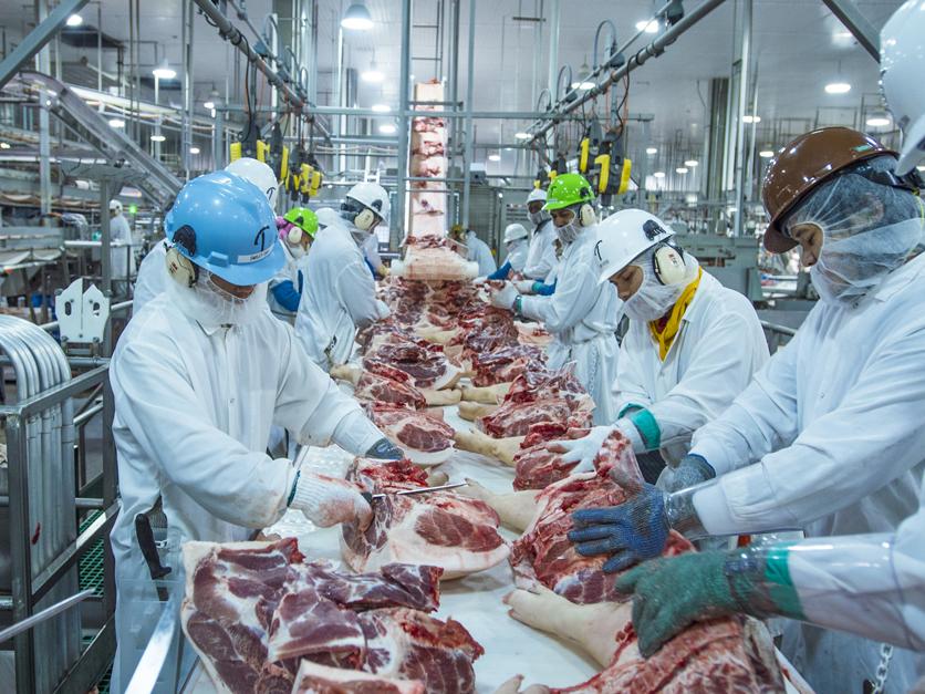 workers at a meat packing plant cutting pork