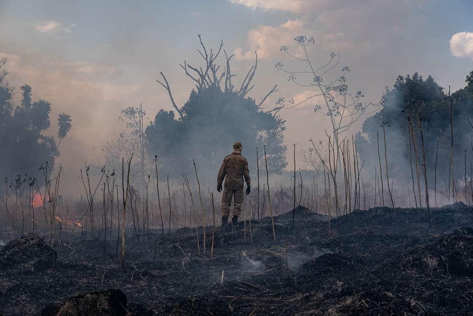 Amazon rainforest fire, September 2019. (Source: AFP)