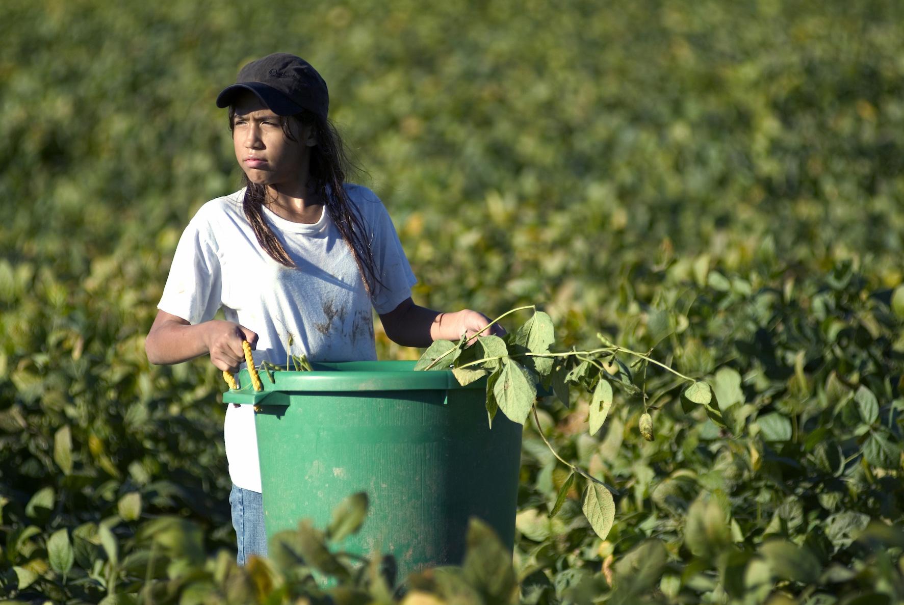 girl works in agricultural field