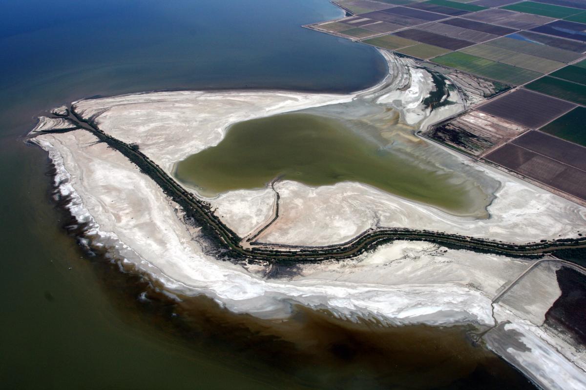 Salton Sea shoreline in the Colorado River drainage basin of southeastern California.