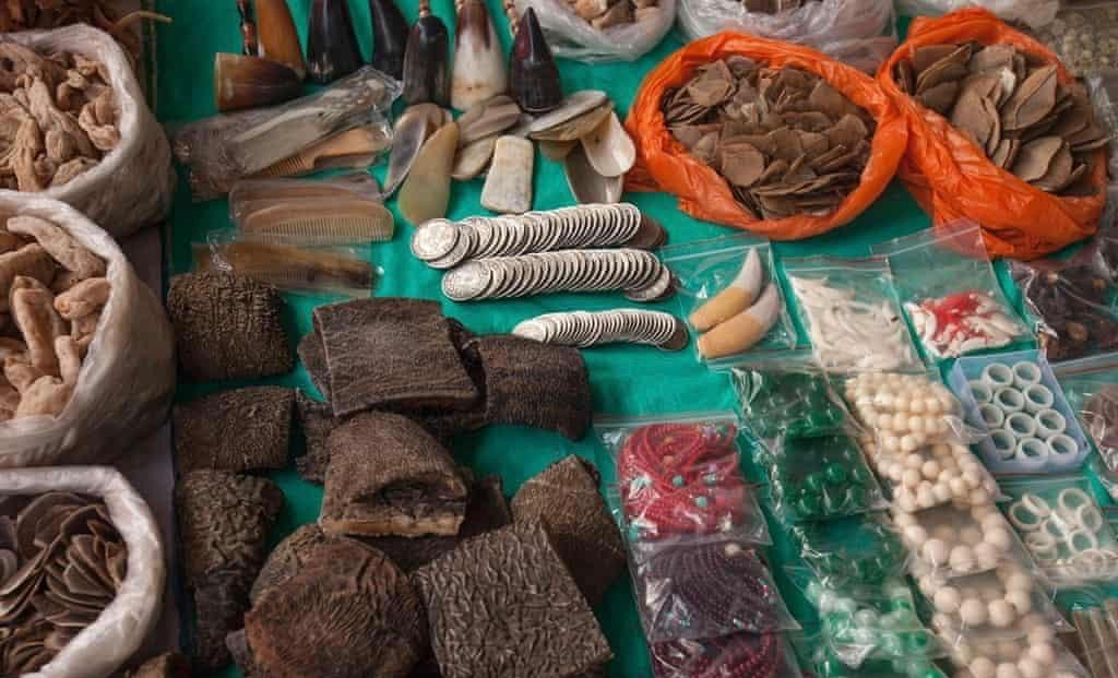 Illegal wildlife products for sale at a covered market in MongLa, Myanmar