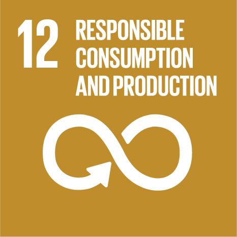 Responsible Consumption and Production icon