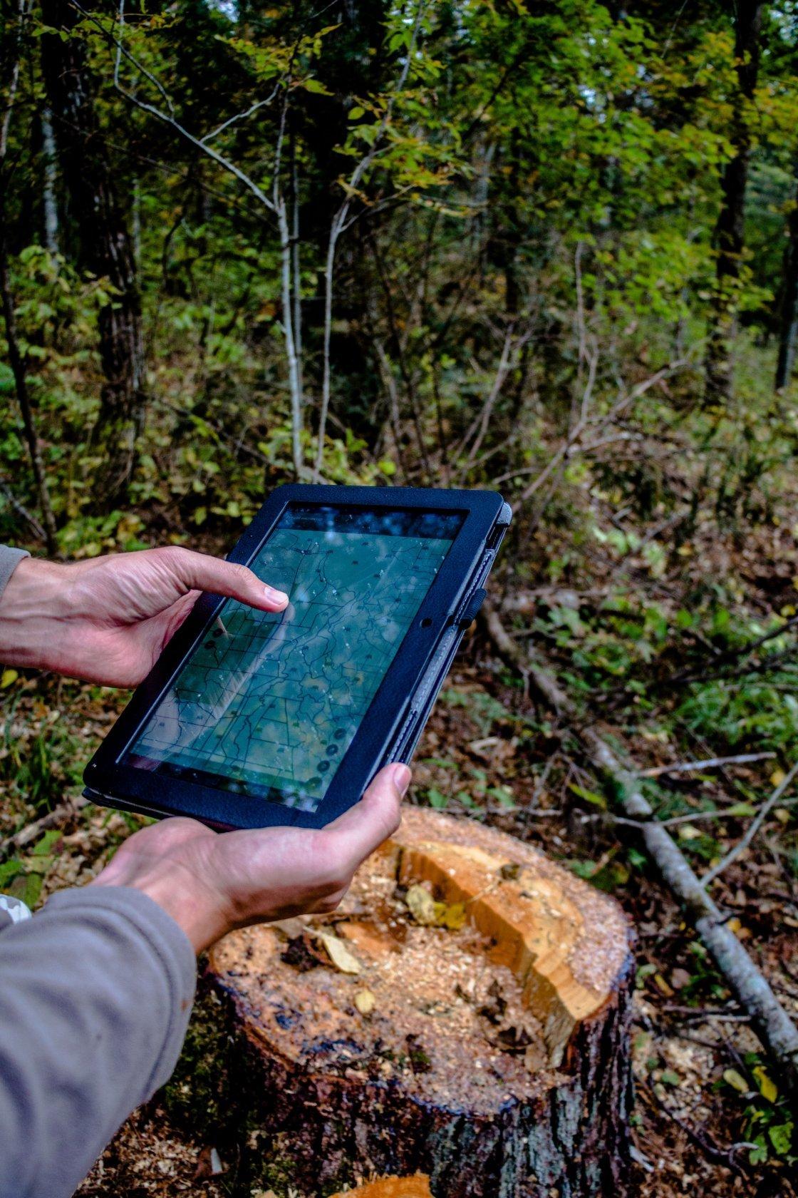 man at felled tree in forest holding web-linked monitoring tablet