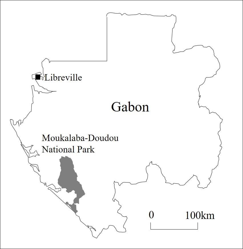 Gabon map, fig. 1