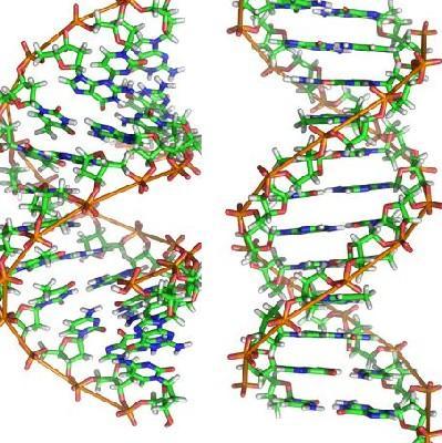 DNA strand