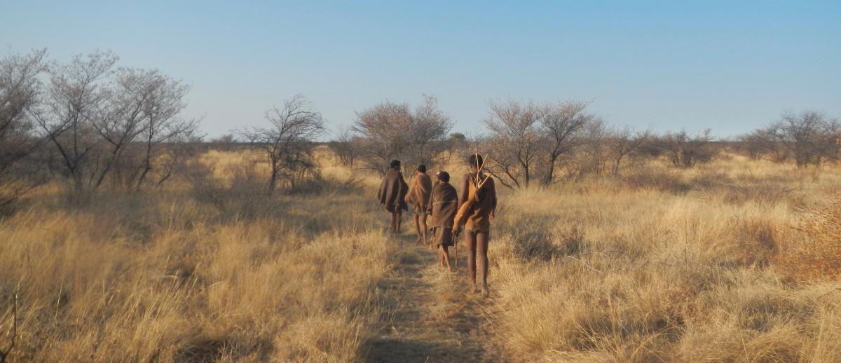 group of San Bushmen walking a trail