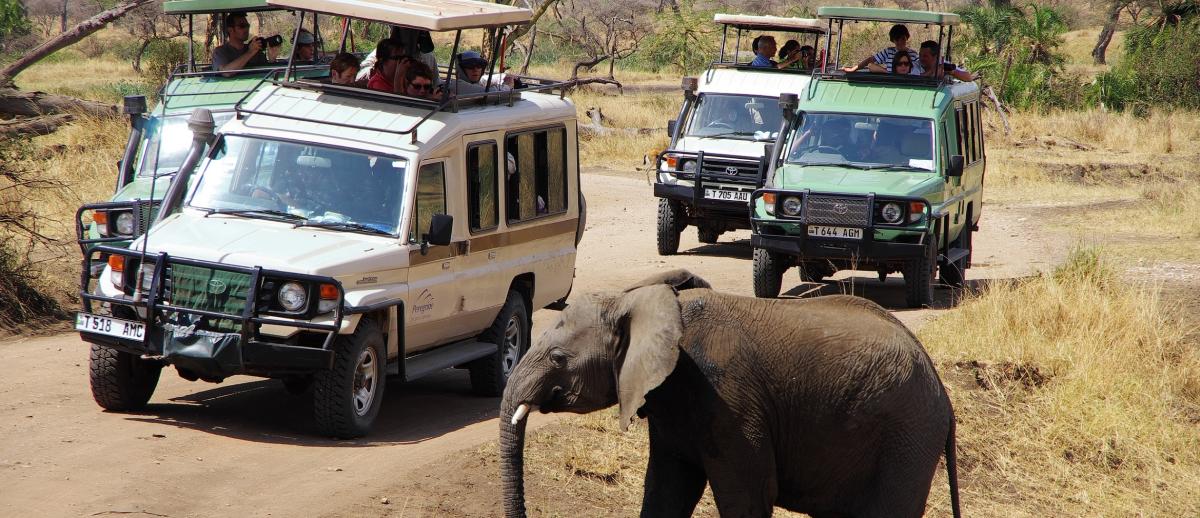 safari tourists in Serengeti National Park, Tanzania