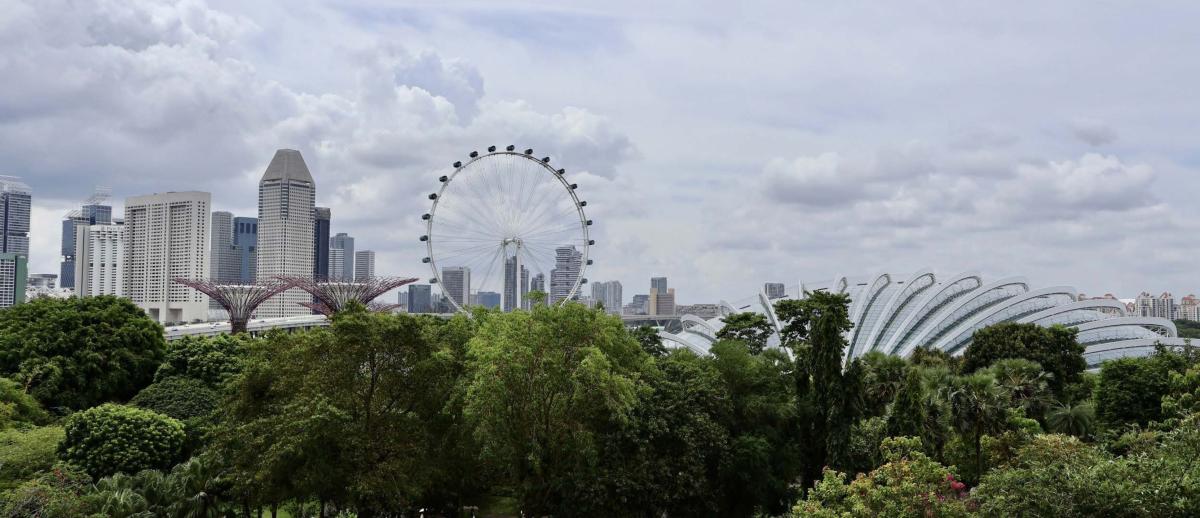 Avant garde-style structures at Gardens by the Bay are the heart of ecotourism in Singapore.