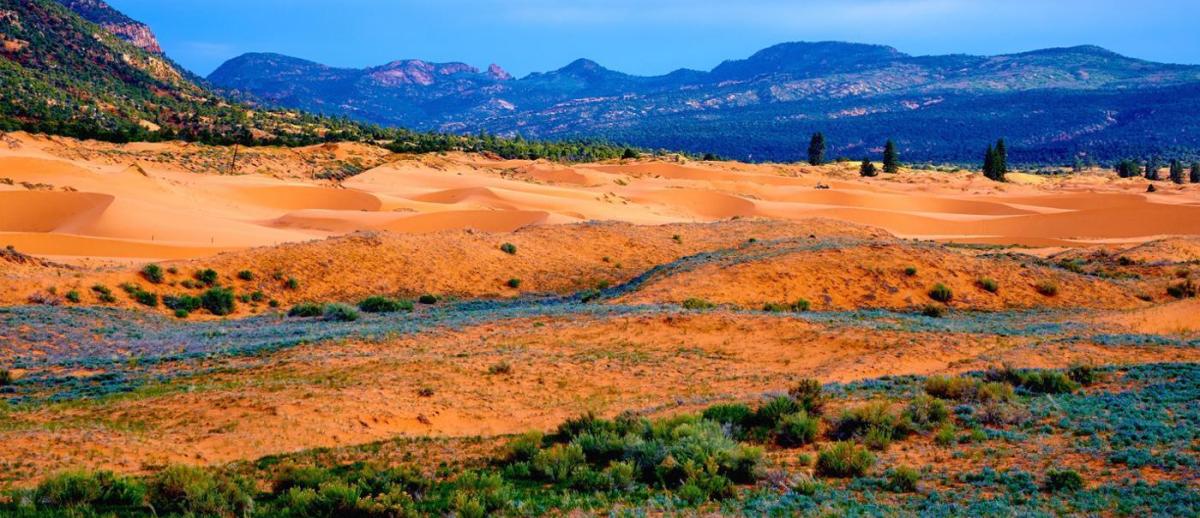 photo of high desert landscape - dunes, vegetation, mountains