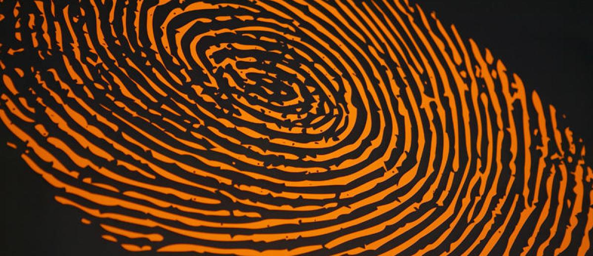 fingerprint 