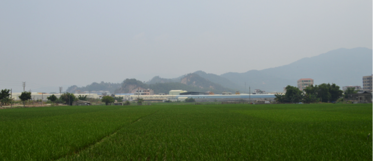 Chaoshan Countryside, China