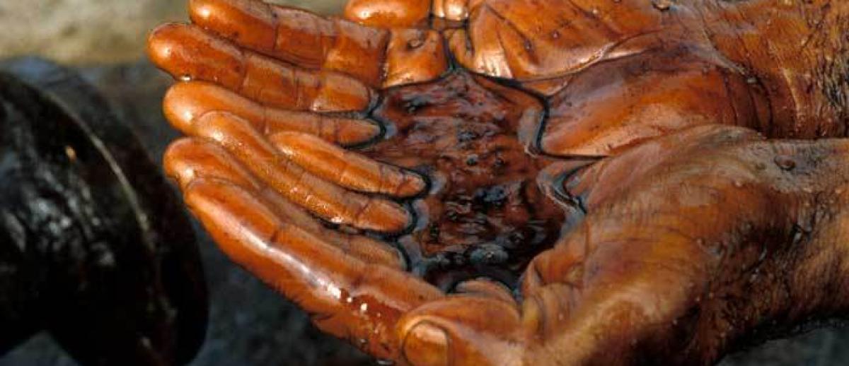 hands cupping crude oil