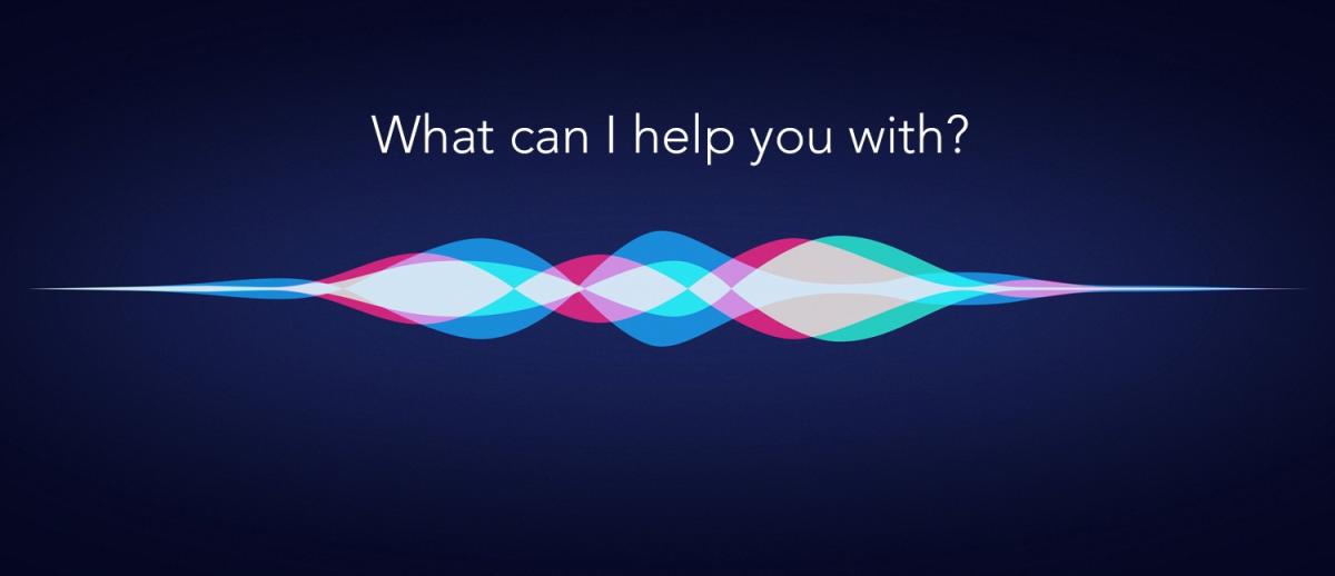Siri screen displaying the message "What Can I Help You With?"