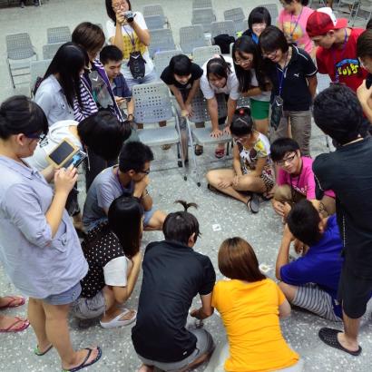 Tama University students meet during Rui-bin Camp session, 2012