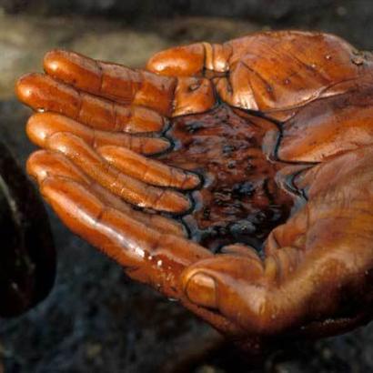 hands cupping crude oil